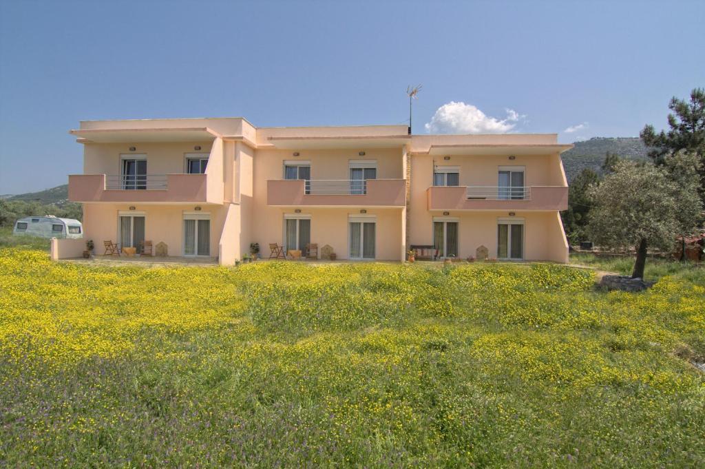 Studios Dimitraki Skala Rachoni  Zimmer foto