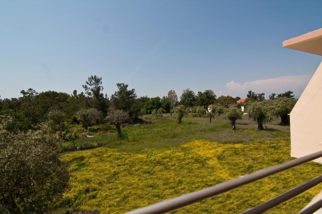 Studios Dimitraki Skala Rachoni  Zimmer foto
